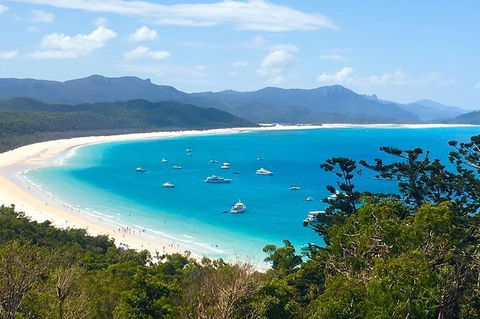 Whitehaven Beach And Hill Inlet | Awesome Beach BBQ | Family Friendly - New South Wales Tourism  7