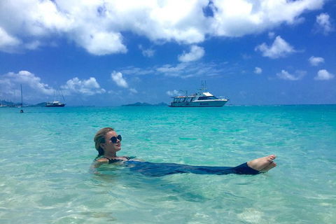 Whitehaven Beach And Hill Inlet | Awesome Beach BBQ | Family Friendly - New South Wales Tourism  3