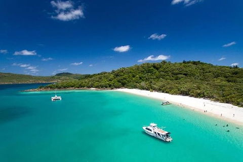 Whitehaven Beach And Hill Inlet | Awesome Beach BBQ | Family Friendly - New South Wales Tourism  10
