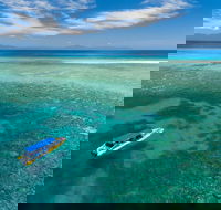 Ocean Safari Great Barrier Reef Experience in Cape Tribulation - New South Wales Tourism 