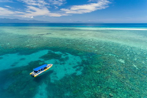 Ocean Safari Great Barrier Reef Experience In Cape Tribulation - New South Wales Tourism  0
