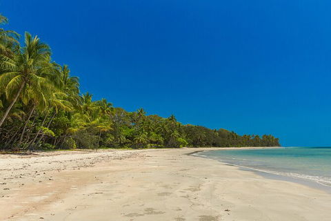 Ocean Safari Great Barrier Reef Experience In Cape Tribulation - New South Wales Tourism  3