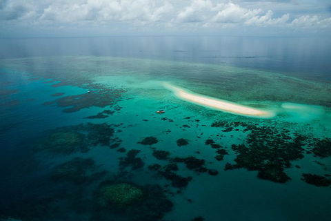 Ocean Safari Great Barrier Reef Experience In Cape Tribulation - New South Wales Tourism  16