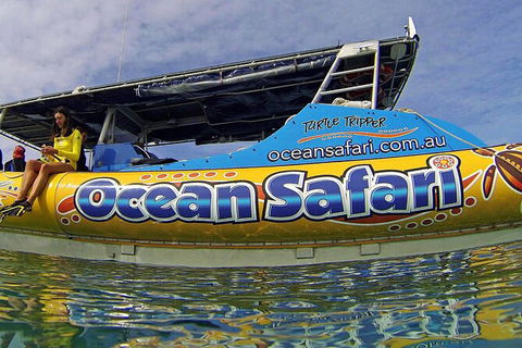Ocean Safari Great Barrier Reef Experience In Cape Tribulation - New South Wales Tourism  8