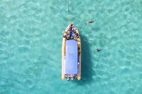Ocean Safari Great Barrier Reef Experience In Cape Tribulation - New South Wales Tourism  17