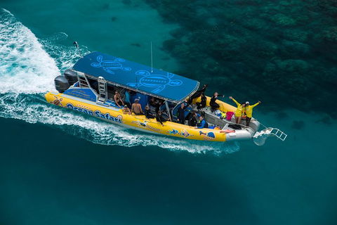 Ocean Safari Great Barrier Reef Experience In Cape Tribulation - New South Wales Tourism  9