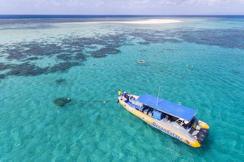 Ocean Safari Great Barrier Reef Experience In Cape Tribulation - New South Wales Tourism  11