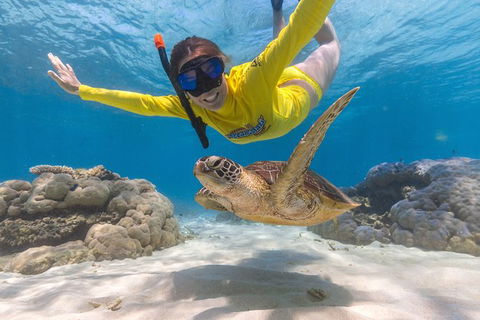 Ocean Safari Great Barrier Reef Experience In Cape Tribulation - New South Wales Tourism  2
