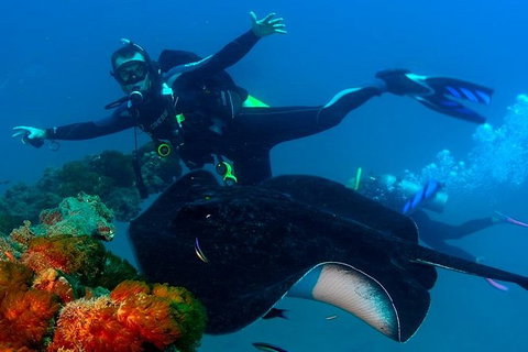 Scuba Dive The S.S. Yongala Wreck On The Great Barrier Reef. - New South Wales Tourism  1