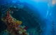 Scuba Dive The S.S. Yongala Wreck On The Great Barrier Reef. - thumb 3