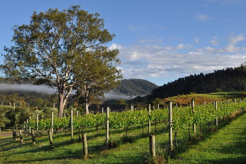 Full Day Mount Tamborine Winery Tour From Gold Coast - New South Wales Tourism  15