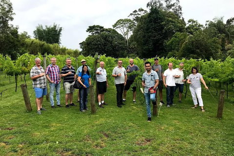 Full Day Mount Tamborine Winery Tour From Gold Coast - New South Wales Tourism  7