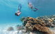 5-Day Fraser Island And Great Barrier Reef Tour - thumb 1