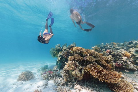 5-Day Fraser Island And Great Barrier Reef Tour - New South Wales Tourism  1