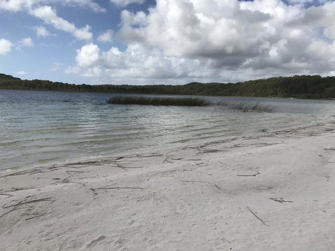 5-Day Fraser Island And Great Barrier Reef Tour - New South Wales Tourism  6