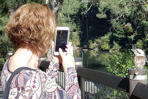 Personalised Private Platypus Land Tour - New South Wales Tourism  1