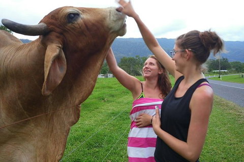 Personalised Private Platypus Land Tour - New South Wales Tourism  9