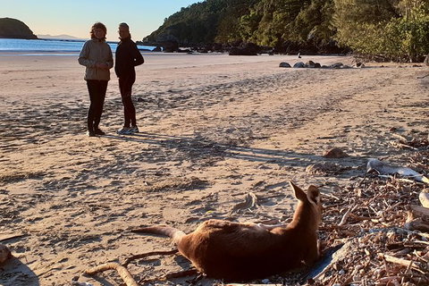 Personalised Private Platypus Land Tour - New South Wales Tourism  10