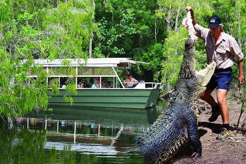 Crocs, Creatures And Culture Tour Ex Cairns - New South Wales Tourism  1
