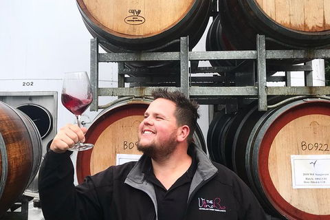 Mount Tamborine Wine Tasting Tour From Brisbane Or The Gold Coast - New South Wales Tourism  8