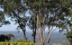 Noosa And Sunshine Coast Hinterland Day Trip From Brisbane - thumb 10