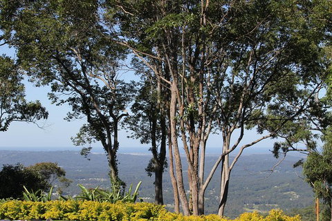 Noosa And Sunshine Coast Hinterland Day Trip From Brisbane - New South Wales Tourism  10