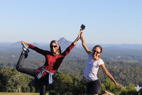 Noosa And Sunshine Coast Hinterland Day Trip From Brisbane - New South Wales Tourism  6