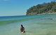 Noosa And Sunshine Coast Hinterland Day Trip From Brisbane - thumb 4