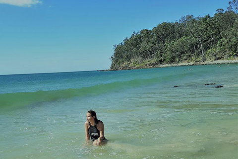 Noosa And Sunshine Coast Hinterland Day Trip From Brisbane - New South Wales Tourism  4