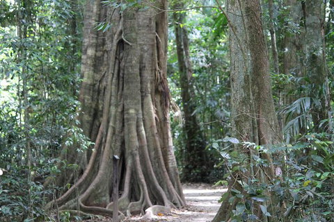 Noosa And Sunshine Coast Hinterland Day Trip From Brisbane - New South Wales Tourism  8