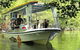 Cairns Reef And Rainforest Combo: Daintree Rainforest And The Great Barrier Reef - thumb 5