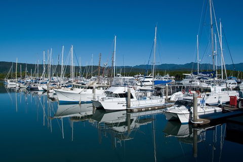 Cairns Reef And Rainforest Combo: Daintree Rainforest And The Great Barrier Reef - New South Wales Tourism  6