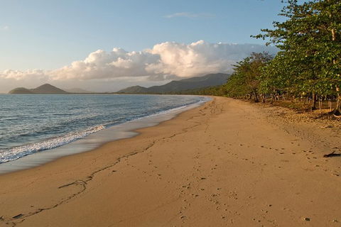 Cairns Reef And Rainforest Combo: Daintree Rainforest And The Great Barrier Reef - New South Wales Tourism  10