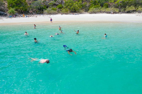 Stray Australia: Brisbane To Cairns Freestyle Tour - New South Wales Tourism  1