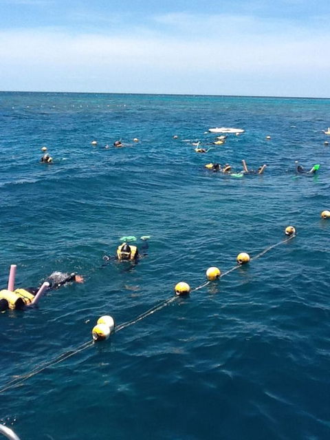Quicksilver Outer Great Barrier Reef Snorkel Cruise From Port Douglas - New South Wales Tourism  2