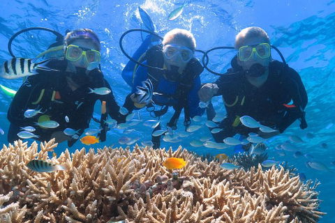 Quicksilver Outer Great Barrier Reef Snorkel Cruise From Port Douglas - New South Wales Tourism  1