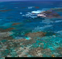 Quicksilver Outer Great Barrier Reef Snorkel Cruise from Port Douglas - New South Wales Tourism 