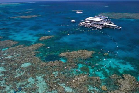 Quicksilver Outer Great Barrier Reef Snorkel Cruise From Port Douglas - New South Wales Tourism  0