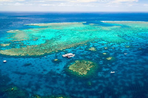 Quicksilver Outer Great Barrier Reef Snorkel Cruise From Port Douglas - New South Wales Tourism  5