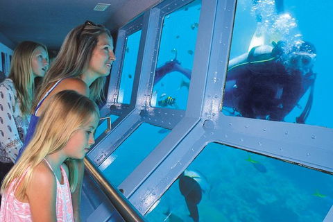 Quicksilver Outer Great Barrier Reef Snorkel Cruise From Port Douglas - New South Wales Tourism  8