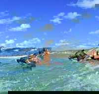 Horse Swimming Ride from Rainbow Beach - New South Wales Tourism 