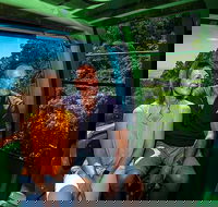 Skyrail Rainforest Cableway Day Trip from Palm Cove - New South Wales Tourism 