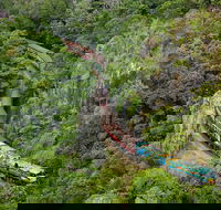 Kuranda Scenic Railway Day Trip from Port Douglas - New South Wales Tourism 