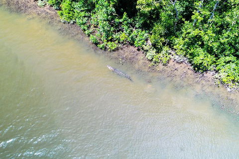1-Hour Daintree River Wildlife Cruise - New South Wales Tourism  11