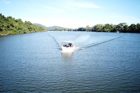 1-Hour Daintree River Wildlife Cruise - New South Wales Tourism  9