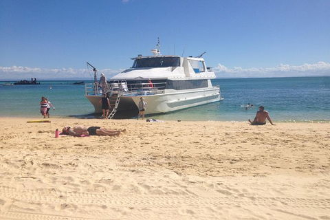 Eco Marine Safari - Boom Netting & Snorkeling Moreton Island - Fortitude Valley - New South Wales Tourism  11