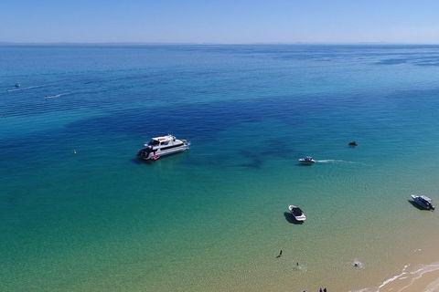Eco Marine Safari - Boom Netting & Snorkeling Moreton Island - Fortitude Valley - New South Wales Tourism  9