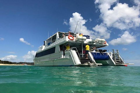 Eco Marine Safari - Boom Netting & Snorkeling Moreton Island - Fortitude Valley - New South Wales Tourism  2