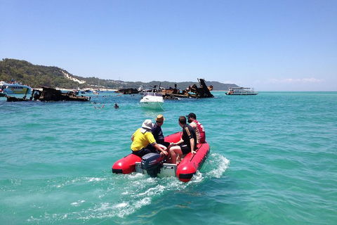 Eco Marine Safari - Boom Netting & Snorkeling Moreton Island - Fortitude Valley - New South Wales Tourism  3