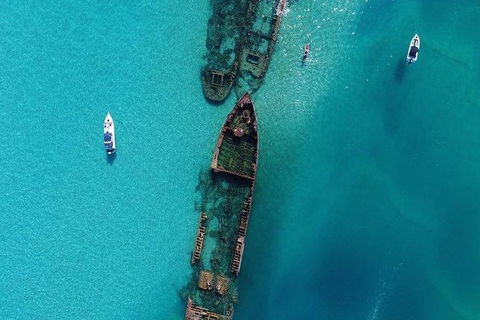 Eco Marine Safari - Boom Netting & Snorkeling Moreton Island - Fortitude Valley - New South Wales Tourism  8